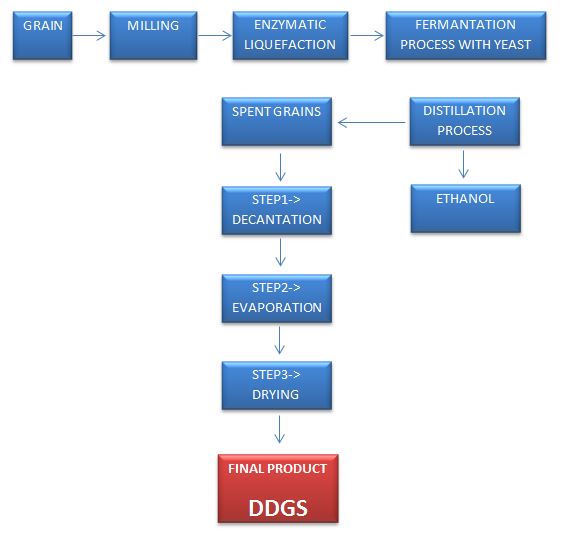 DDGS MANUFACTURING PROCESS FLOW CHART